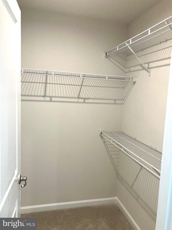 Building Photo - 8820 Stevenson Ln