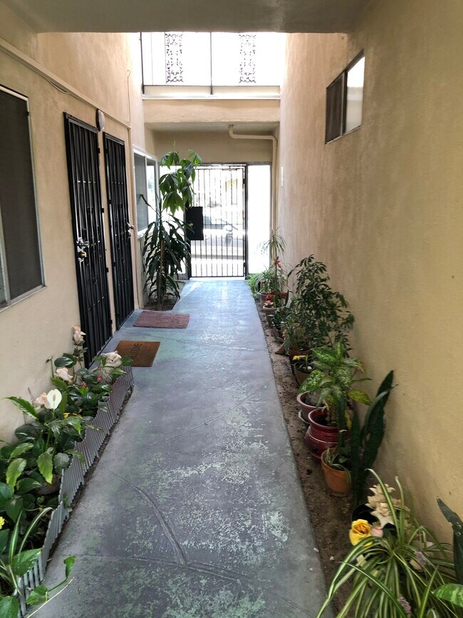Outside hallway leading to apartment - 6110 Seville Ave