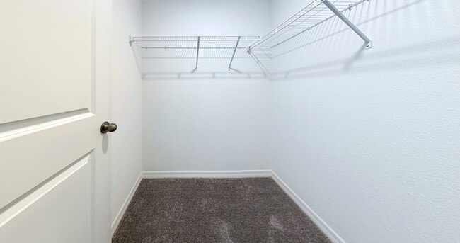 Building Photo - 376 Rain Berry Ave