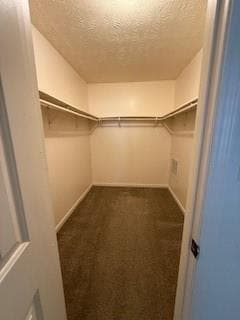 Building Photo - 4429 Coopers Creek Dr SE