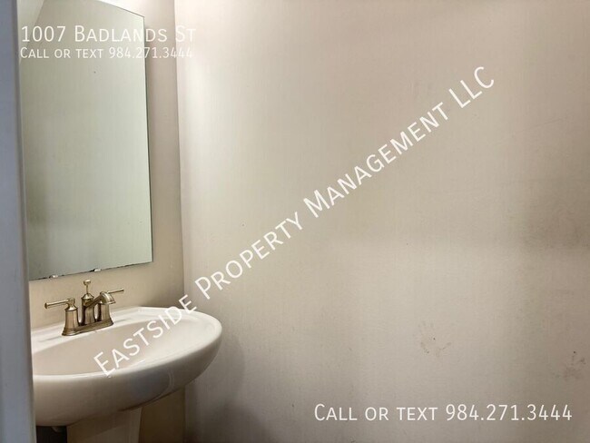 Building Photo - 1007 Badlands St