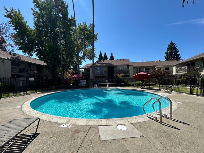 Building Photo - Bright & Updated 1BR Condo in Prime Walnut Creek Location – Vaulted Ceilings & Pool Access!
