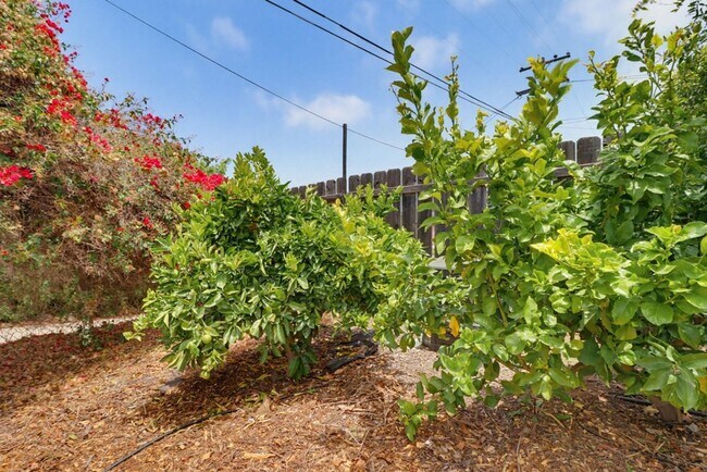 Building Photo - Beautifully Maintained Home in La Mesa — 3 Bed / 2 Bath | 1,600 Sq Ft