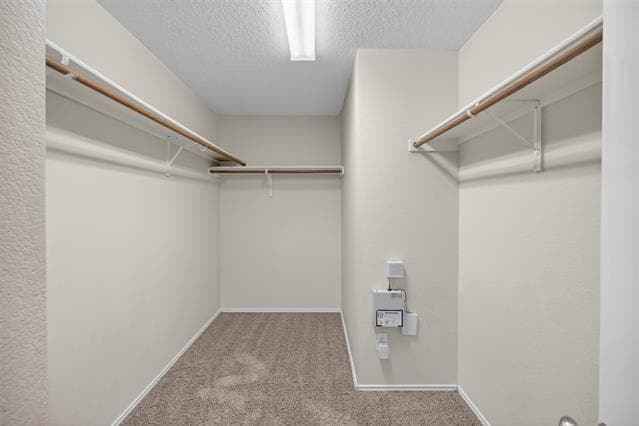 Building Photo - 4022 Cedar Elm Ln