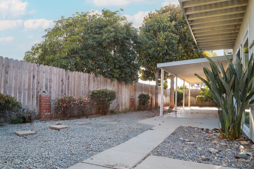 Backyard - 646 Buttonwood Dr
