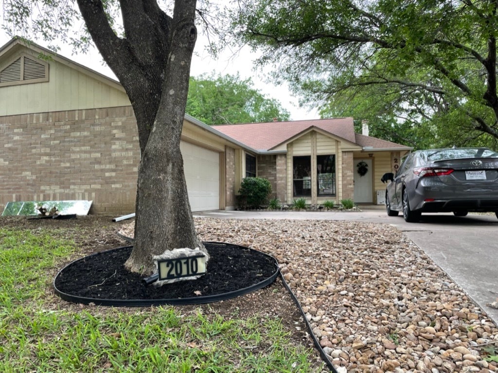 Trees - 2010 Elder Way