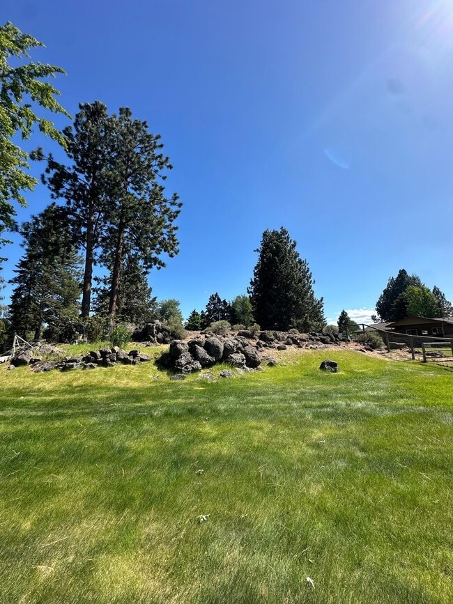 Building Photo - 3 Bed | 2 Bath | 1.17 Acres | Single-Level Home | Mountain Views