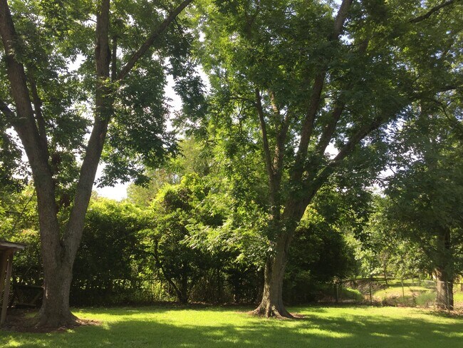 Building Photo - Beautiful Home Near Highland Rd and Kenilworth Subdivision
