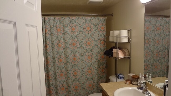 Building Photo - Great One Bedroom near Provo Rec Center, U...