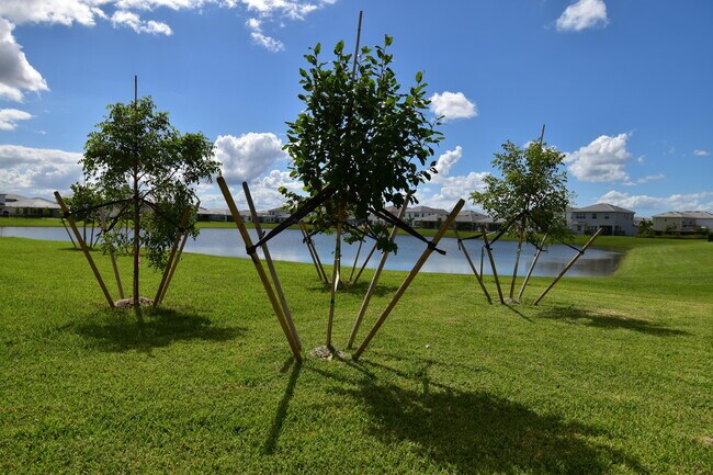 Building Photo - 5773 Aleppo Pne Pl