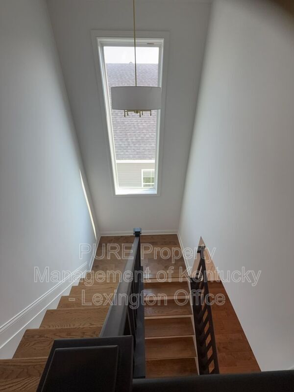 Building Photo - 1089 Squirrel Nest Ln