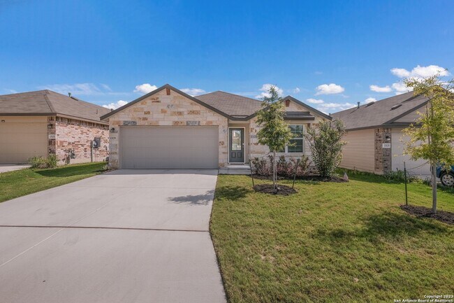 Primary Photo - 13129 Needle Grass