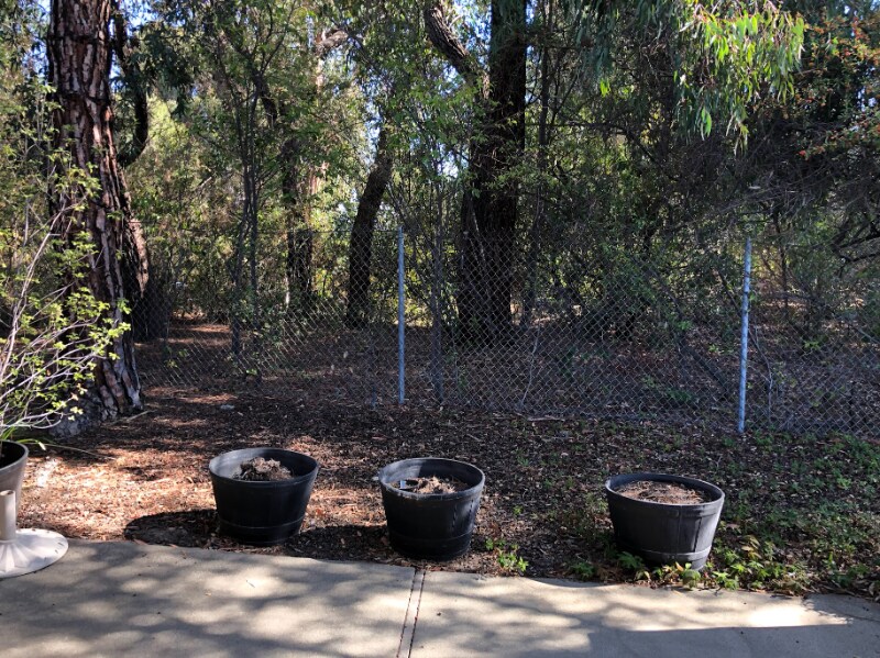 Building Photo - 1816 Cannon Dr