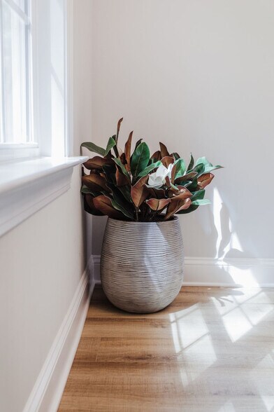 Building Photo - 279 Navigators Dr