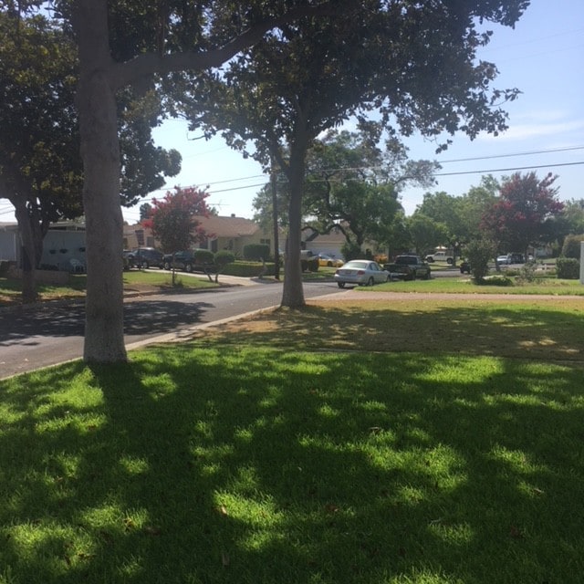 Yard view west - 13949 Oval Dr