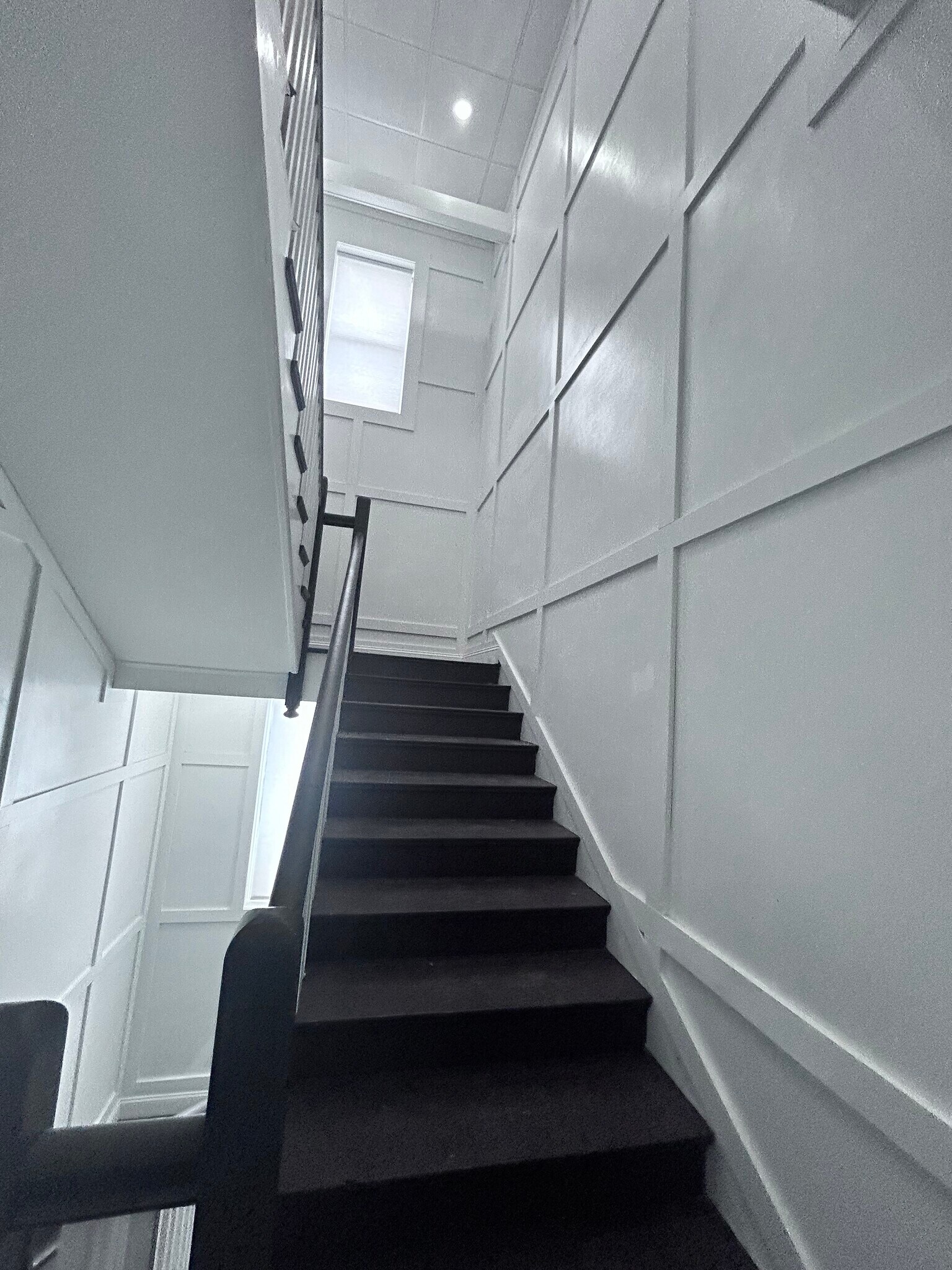 Coffered Ceilins - 13 Chester St