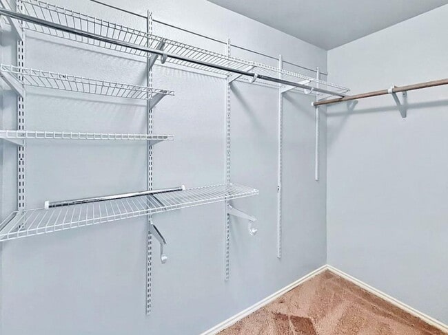 Building Photo - 2413 Socorro Bend