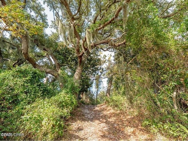 Building Photo - 3555 Sanctuary Dr