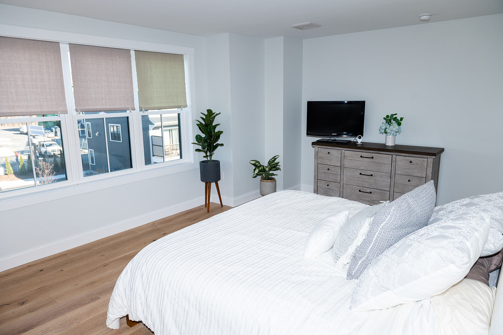 Building Photo - 30 Cate St