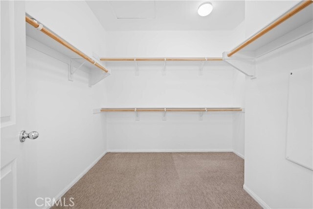 Building Photo - 145 Mongoose