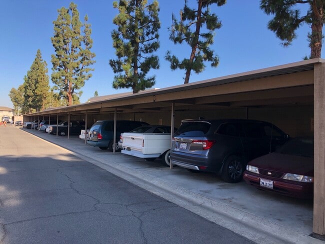 Building Photo - 183 Southampton Way