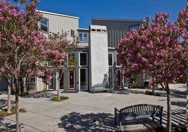 Building Photo - Ginzton Terrace