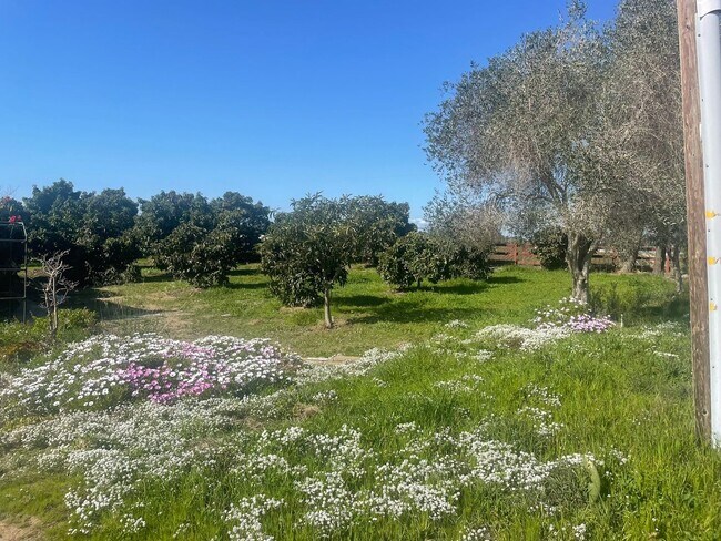 Building Photo - Spacious 4 bedroom/ 3 bath house in Nipomo