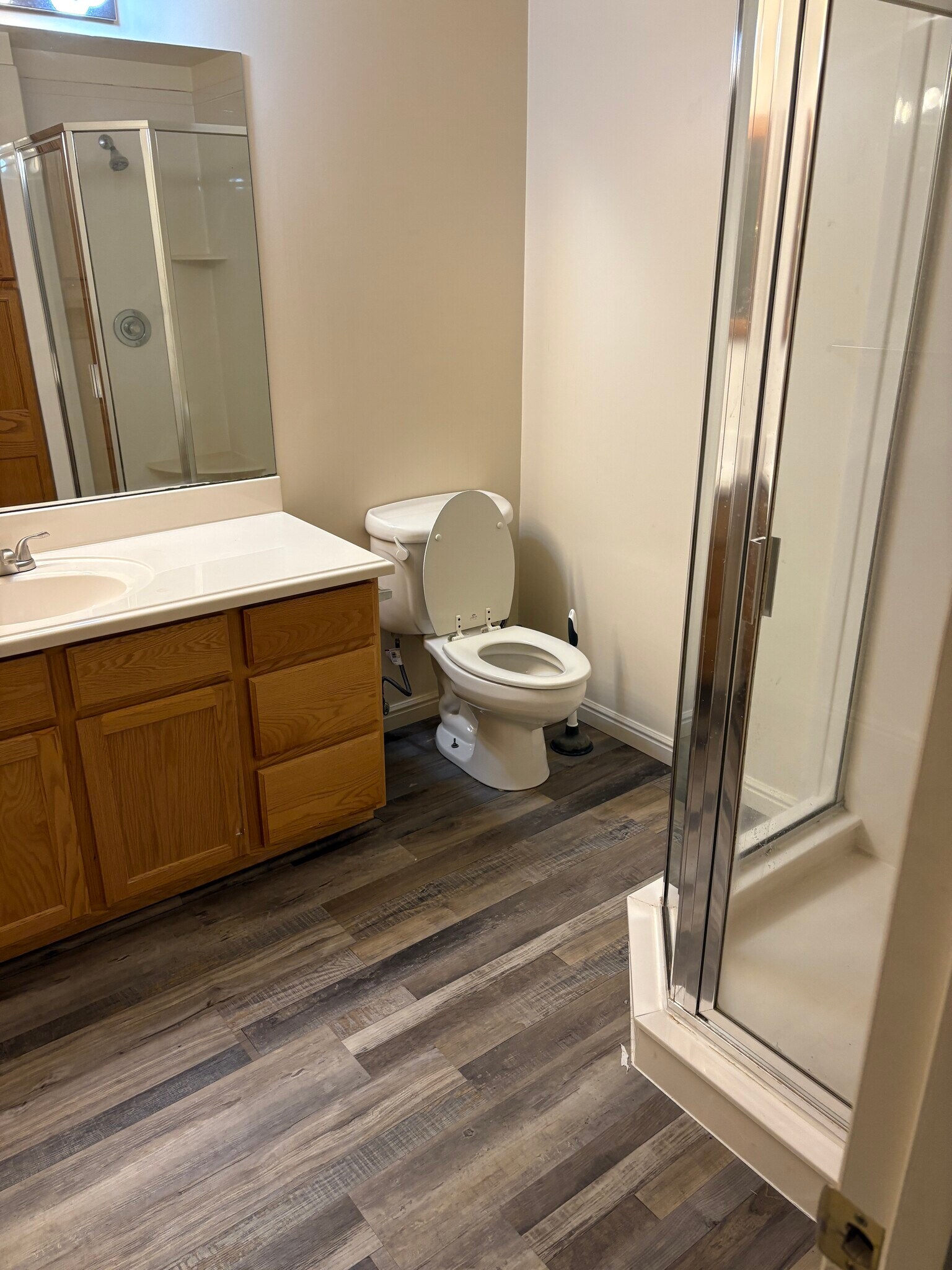 Downstairs Bathroom - 474 S 1300 E