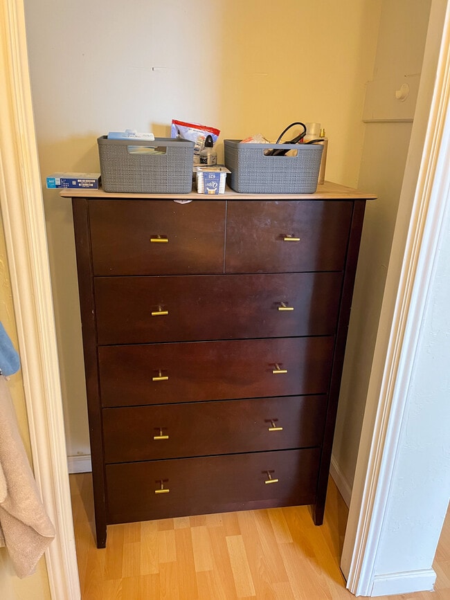 Master bedroom closet 2 (dresser not included) - 421 W San Antonio St