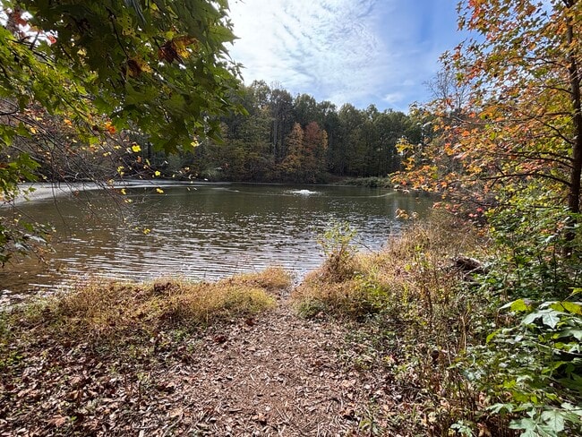 Building Photo - 917 Shearer St