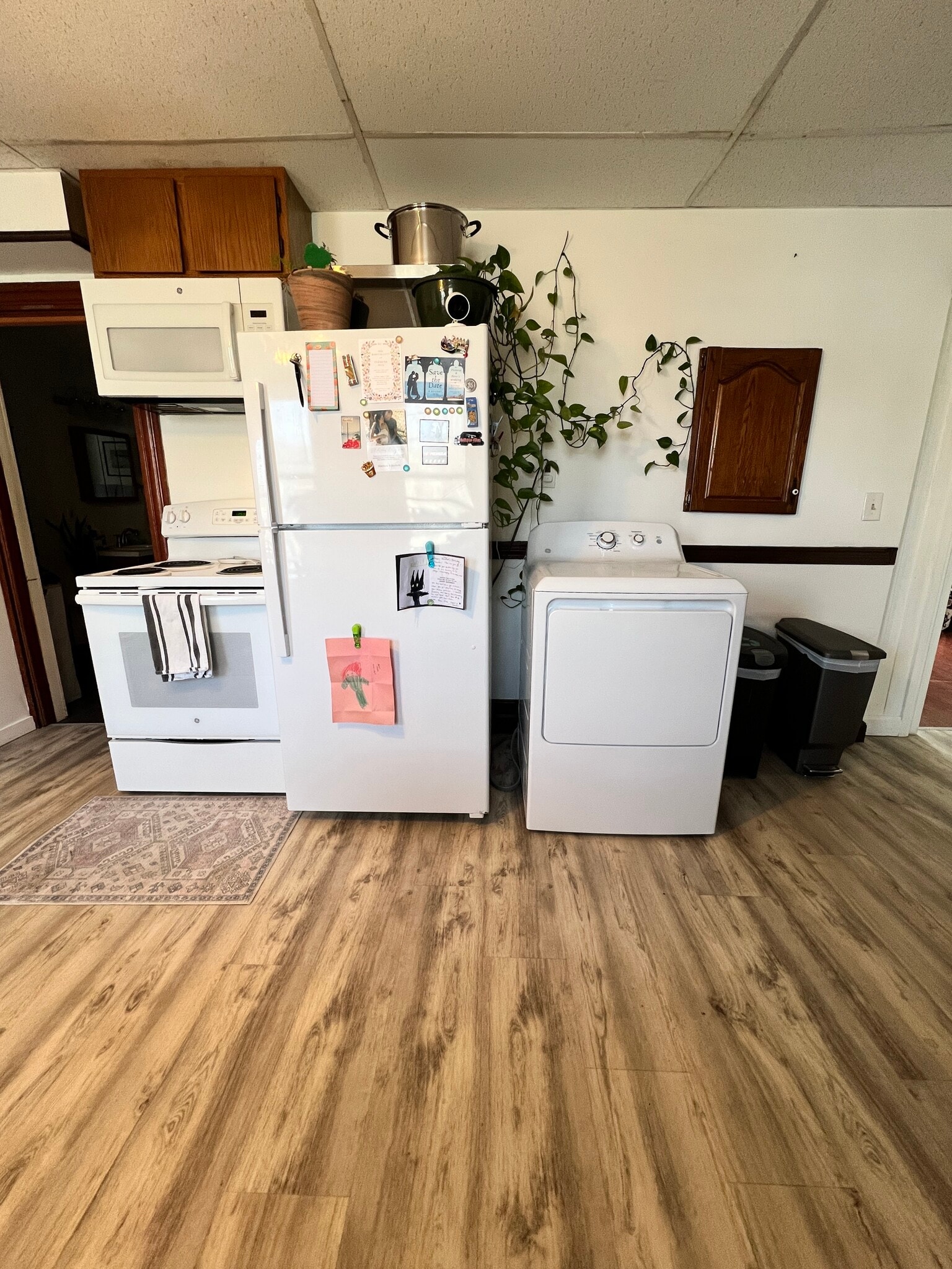 Kitchen - 94 Graham St