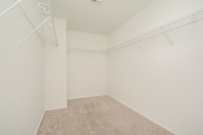 Building Photo - 22951 Twisting Pine Dr