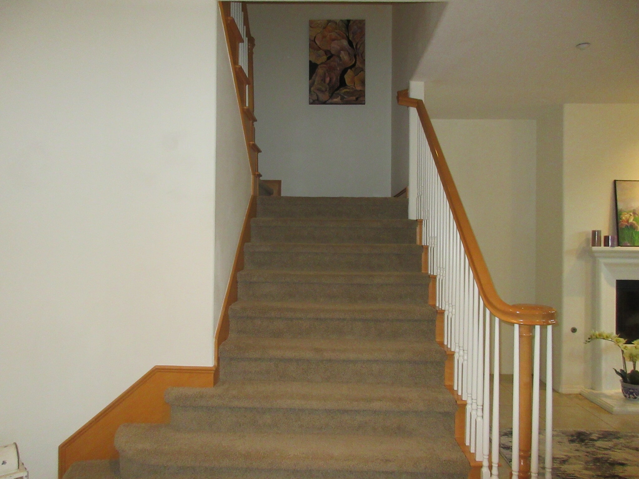 Building Photo - 4415 Ahoy Ln