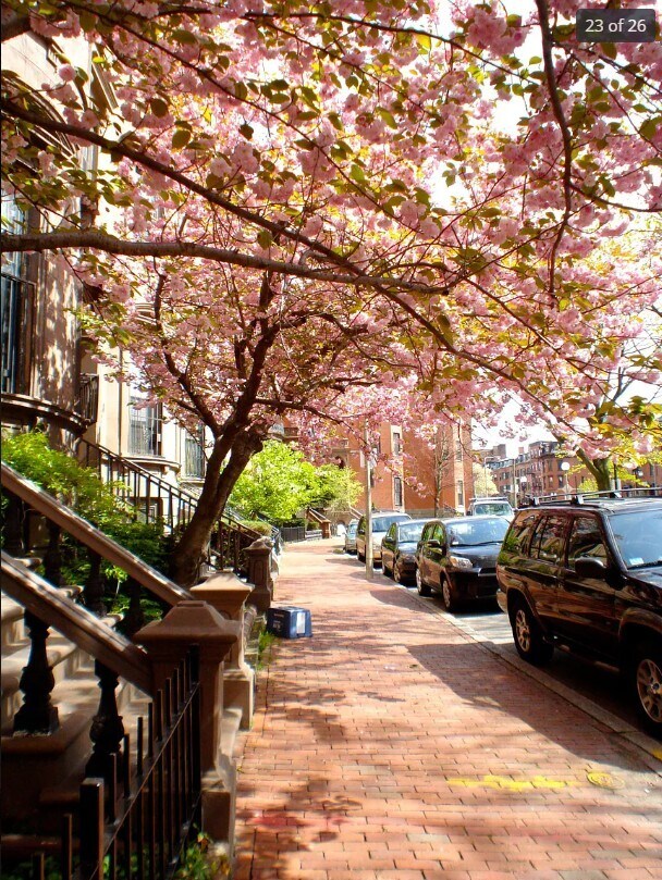 Building Photo - 538 Massachusetts Ave