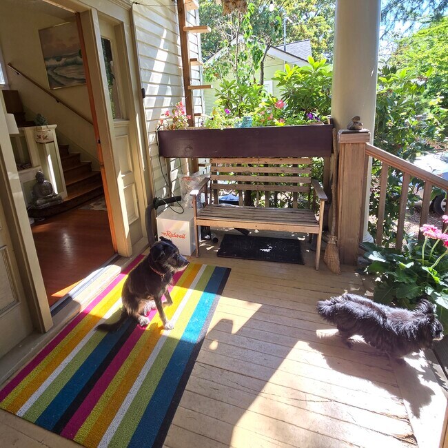 Dogs and entry - 555 N Simpson St