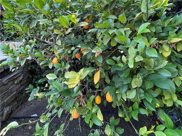 Building Photo - 20329 Haynes St