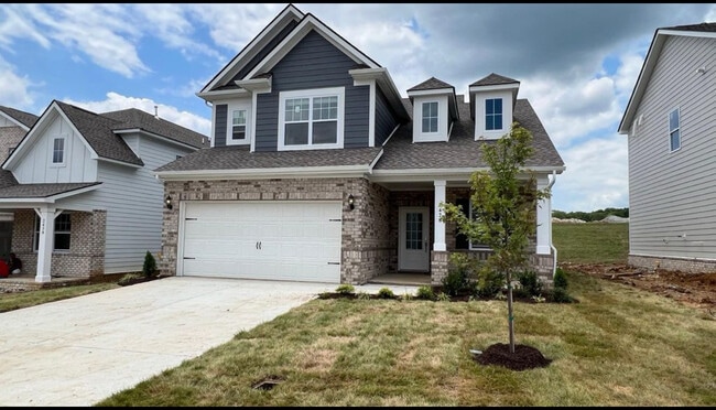 Building Photo - 2428 Williams Ridge Dr
