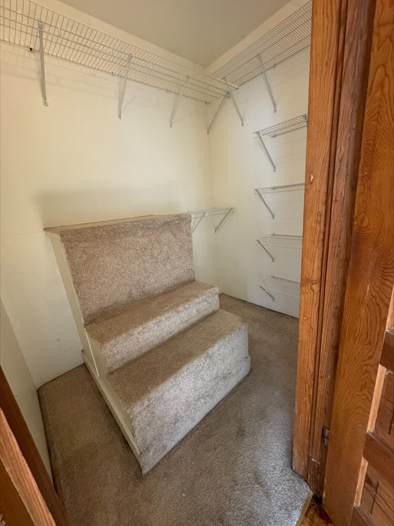 Large Closet - 410 E Conant St