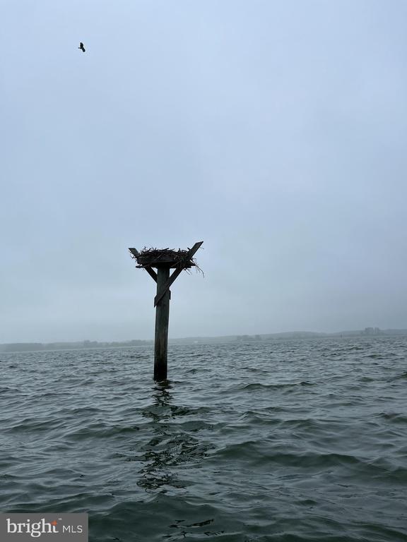 Building Photo - 16197 Thomas Rd