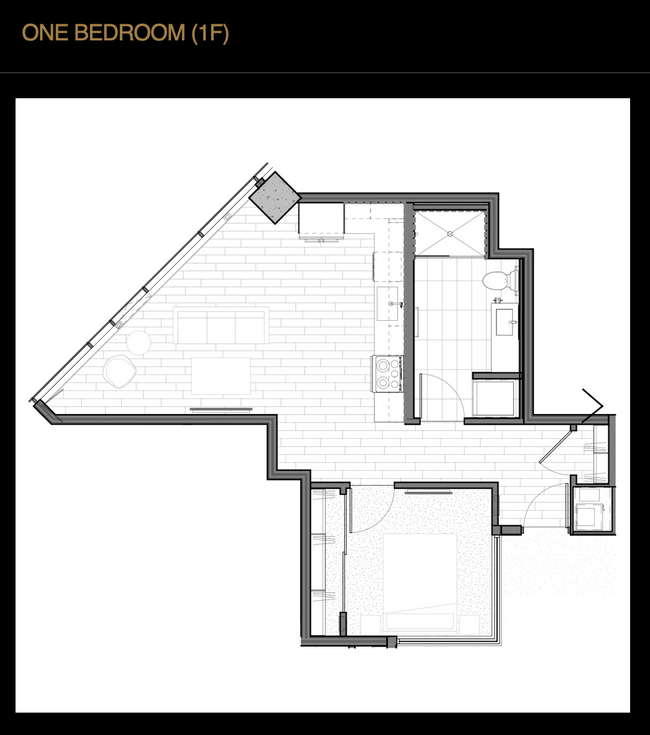 1F - One Camelback