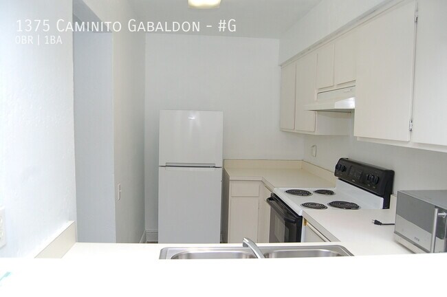 Building Photo - 1375 Caminito Gabaldon