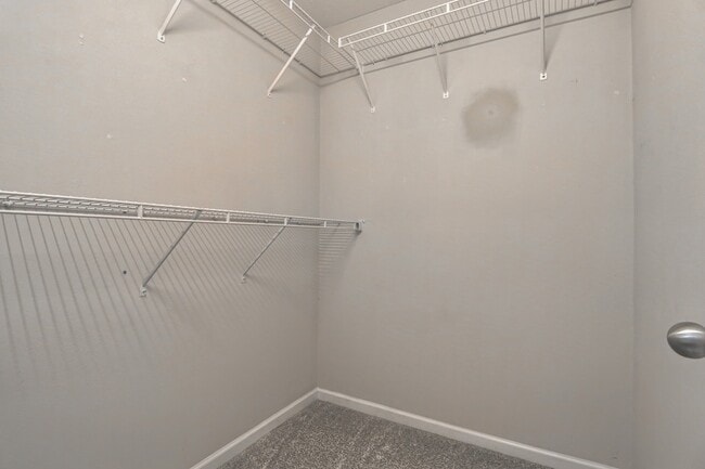 Building Photo - 3134 Prater Ct