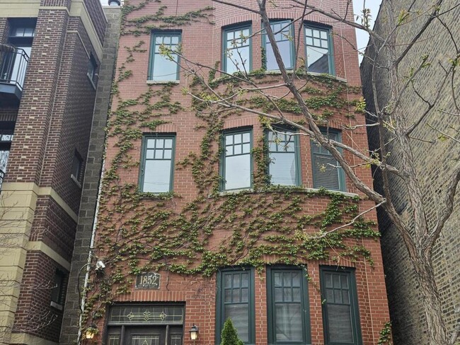 Primary Photo - 1852 N Halsted St