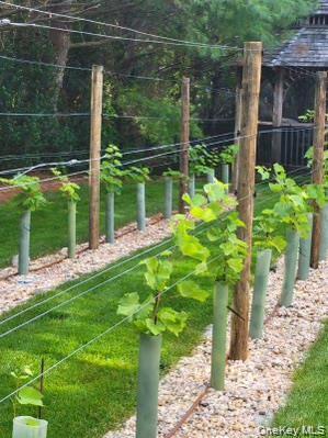 Building Photo - 15 Carter Rd