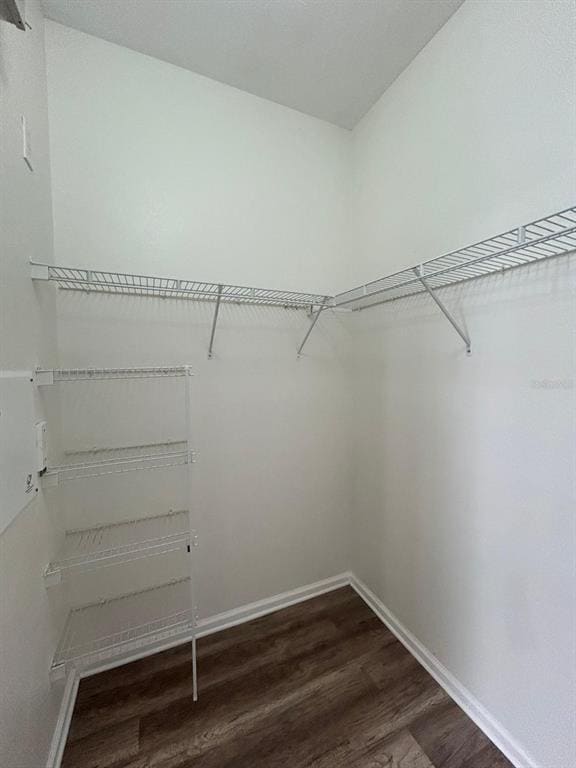 Building Photo - 3224 Dante Dr