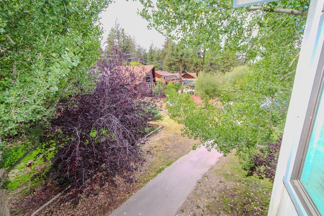 Building Photo - 43063 Goldmine Woods Ln