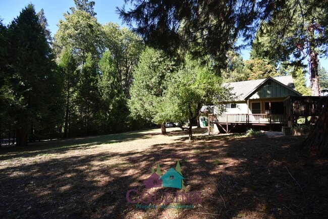 Building Photo - 10879 Gold Flat Rd