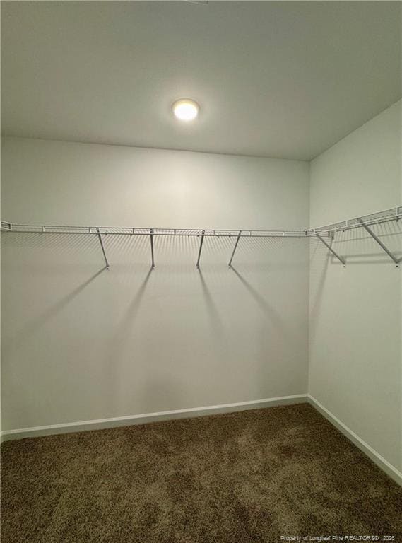 Building Photo - 96 Buggy Top Ln