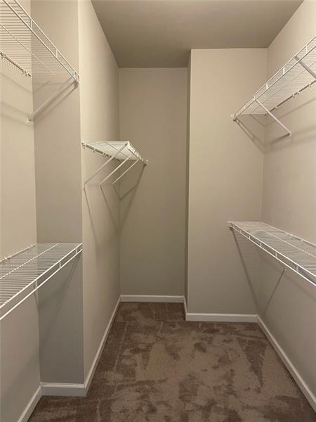 Building Photo - 2987 Regal Park Ct
