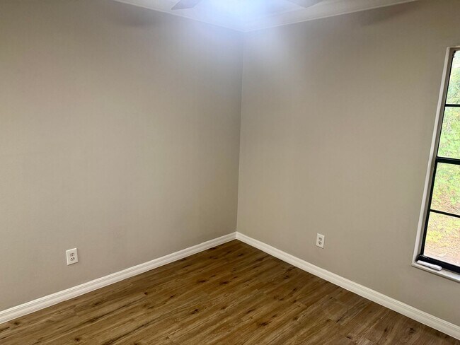 Building Photo - Completely Renovated 3/2 Located in Quiet Palm Harbor Community